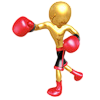 Fighter